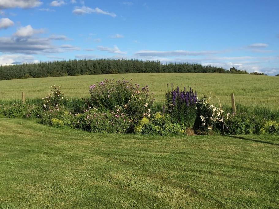 Blackhill Farm Cottage เพิร์ท ภายนอก รูปภาพ